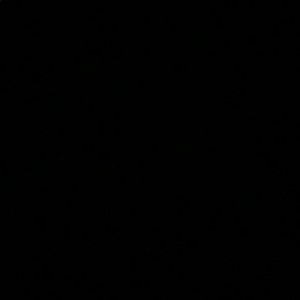 Meet your Posher, Maya